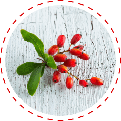 Berberine